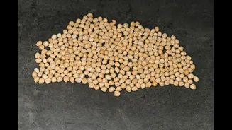 Indian Chickpea Prices Rise Amid Monsoon Deficit and Rabi Crop Concerns