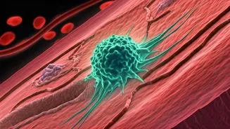 Unraveling the Aging Factor in Lung Cancer: A New Frontier for Treatment