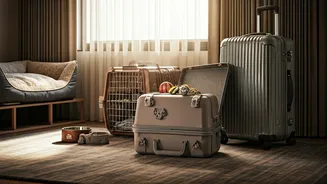 Travel Itineraries Are Getting A Pet Parent Makeover