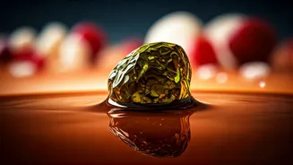 Sweet Danger: How Excess Sugar Fuels Gallstone Formation