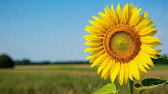 Breakup Recovery: Finding Happiness Again