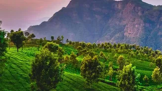 Dong Valley: India’s Early Sunrise Spot Surrounded By Hills And Forests