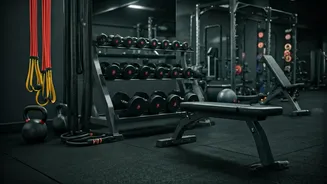 Why Beginners Love The Push Pull Legs Split