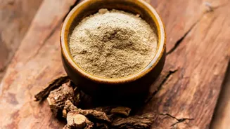 How Traditional Kerala Ayurvedic Treatments Cure Overworked Millennial Stress During Monsoon Season