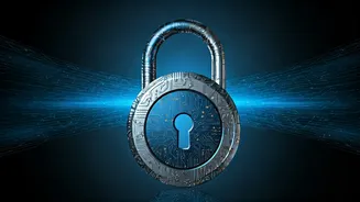 UIDAI's Bug Bounty: Unlocking Aadhaar Security with Ethical Hackers