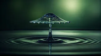 Unlock Your Focus: Master Mindful Breathing for Enhanced Concentration