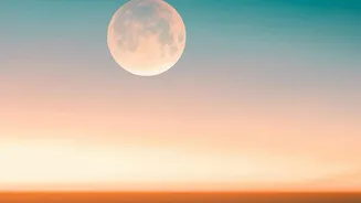 How Sky Horizon Visual Distances Cause Brain Networks To Exaggerate Moon Diameters