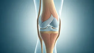 Knee Care: Delaying Joint Replacement by a Decade