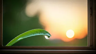 Embrace Your Day: 7 Powerful 5 AM Affirmations for Inner Peace and Clarity