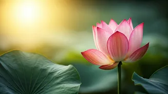 Mahavir Jayanti 2026: Thoughtful Wishes, Quotes & Messages for Everyone