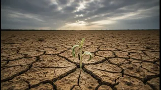 Goa's Deficient June Rainfall: The Bigger Story behind Goa's Weak Monsoon Spell