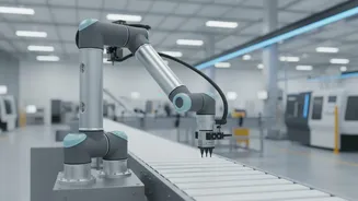 July Manufacturing Data Shows India Expanding at a More Measured Pace