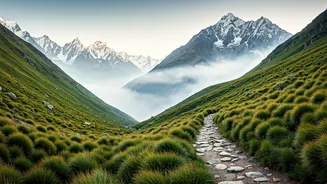 Craving Remote Treks Try Mist Laden Meadows Of Chopta