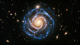 XLSSC 122 challenges cosmic models
