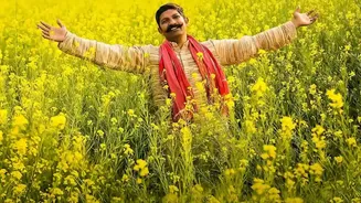 Punjab Crop Diversification: Crop-Income Security Explained for Farmers and Policy Readers