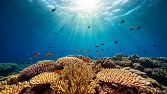 Andaman Scuba Is Perfect For Nervous Adventure Seekers