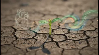 Travel, Food, Health: Climate Links Everything