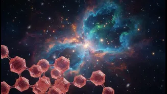 Why detection of erythrulose sugar near galactic core changes early planet material timelines