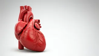 Squatting Daily: Benefits for Body & Mind