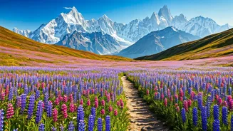Trek To Valley Of Flowers As Alpine Meadows Burst Open