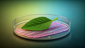 Weedkiller Alert: Popular Herbicide May Empower Deadly Superbugs, New Study Reveals