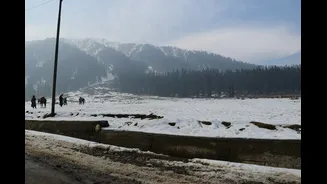 Winter in Kashmir: What to Expect and How to Prepare