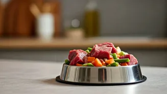 Why Indian Pet Parents Love Vet-Approved Raw Dog Food