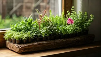 Tiny Gardens, Massive Happiness