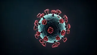 Andes Hantavirus: Understanding the Deadly Strain That Can Spread Between Humans