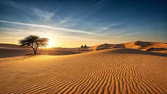 Thar Travel Is Dry, Golden And Unexpected