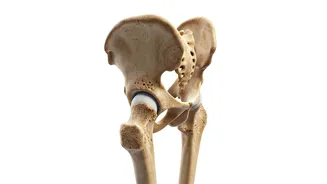 Unveiling Bone Health: 5 Exercises to Enhance Mobility After 30