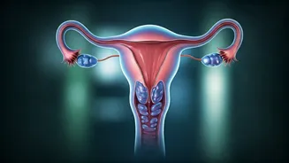PMOS Unveiled: Why 'PCOS' is Being Renamed for Better Health Understanding