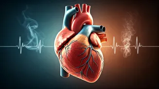 Beyond the Obvious: Unveiling Lifestyle Triggers of Irregular Heartbeats