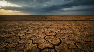 El Niño and Indian Rainfall: The Current Development Explained