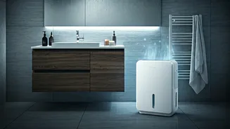Damp Rooms Need Dehumidifying Habits Now