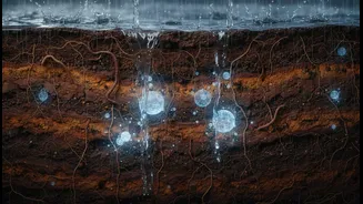 New Findings Highlight Underground Air's Influence During Extreme Rain Events