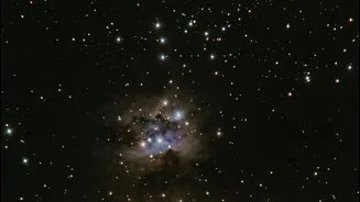 Related Stories banner