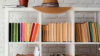 Check Whether Shelves Can Adjust Before Choosing Storage Boxes