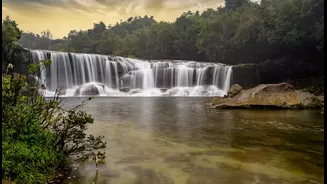 Paradise Found: Unveiling the Coastal Gems near Meghalaya