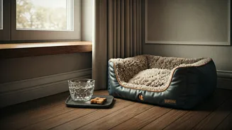 In-House Pet Amenities Are Becoming A Hotel Flex