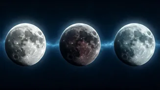 Unveiling the Water Signs: Why Cancer, Scorpio, and Pisces Moons Lead with Emotion