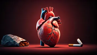 Young Hearts Under Threat: Why Heart Attacks Are Rising in Adults Under 40