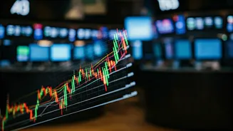 Decoding Stock Market Trends: A Look at Top Performers