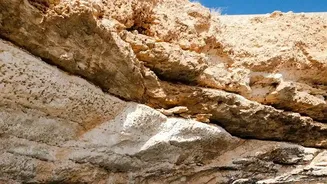 How Young Indian Backpackers Explore Natural Pools In Oman Wadis Without Big Budgets