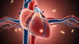 Probiotics and Your Heart: Separating Fact from Fiction