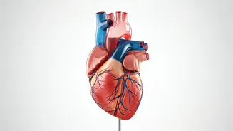 Related Stories banner