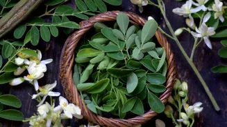 Inside Moringa In Everyday Meals: Everyday Recipes Using Drumstick Leaves