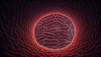Gut Trouble Is The Least Fun Food Trend