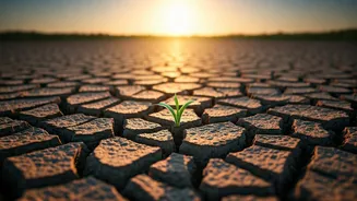 Driest June In 146 Years: How India Navigates Weather