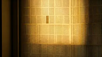 DIY Window Wonders: Unlock Privacy & Savings with Newspaper Coverings!